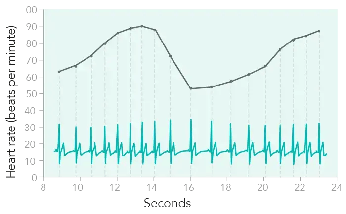 Widok oprogramowania hypoxbreath – analiza HRV